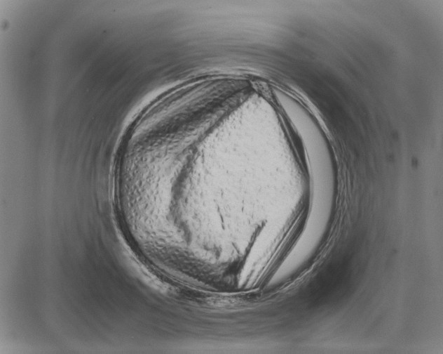 X0000080120795200701051353