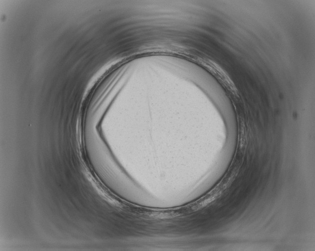 X0000080120796200701051353