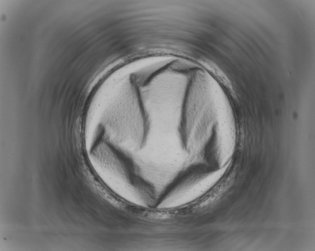 X0000080120798200701051353