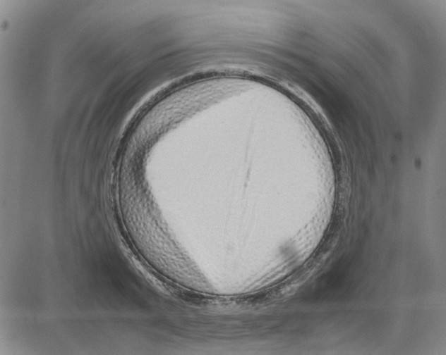 X0000080120799200701051353
