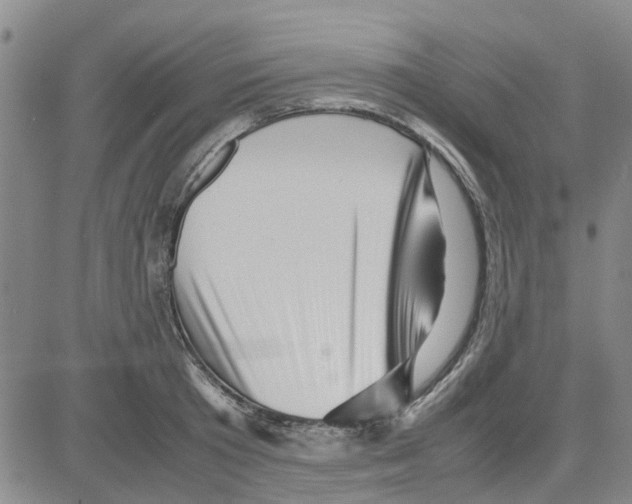 X0000080120801200701051353