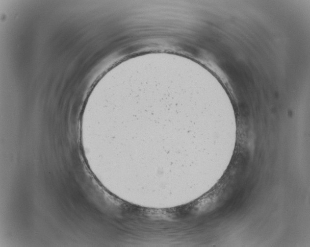 X0000080120807200701051353