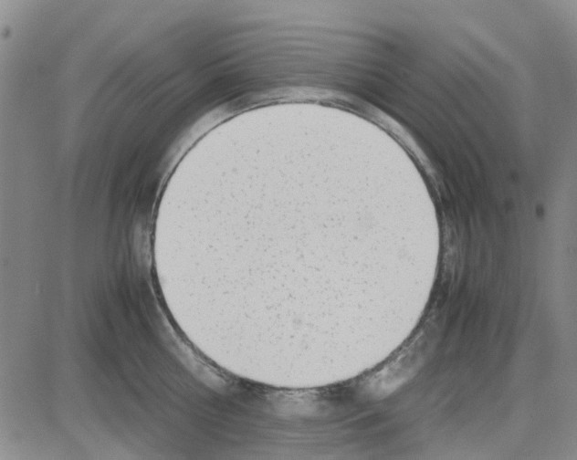 X0000080120810200701051353