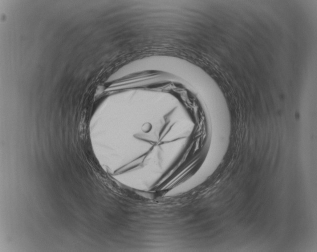X0000080120818200701051352