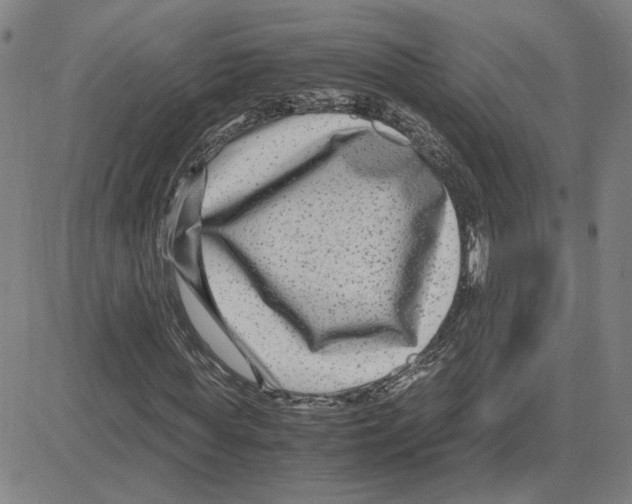 X0000080120819200701051352