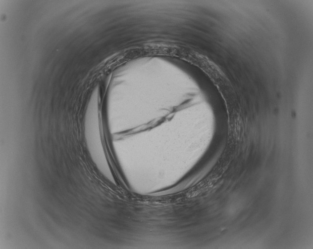 X0000080120821200701051352