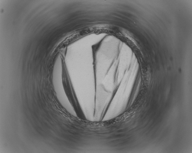 X0000080120823200701051352