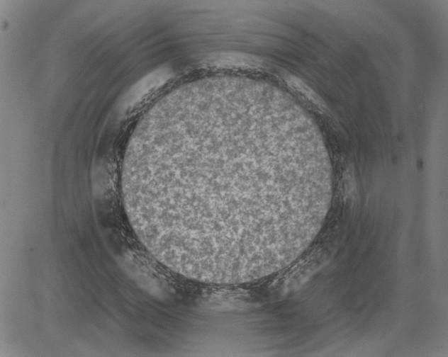 X0000080120824200701051352