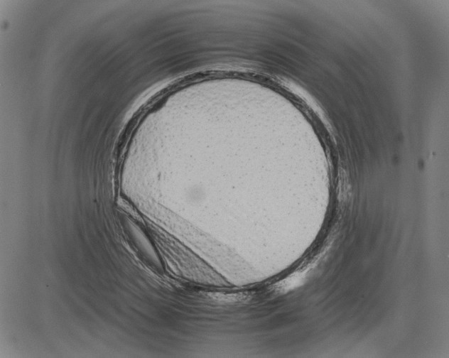 X0000080120829200701051352
