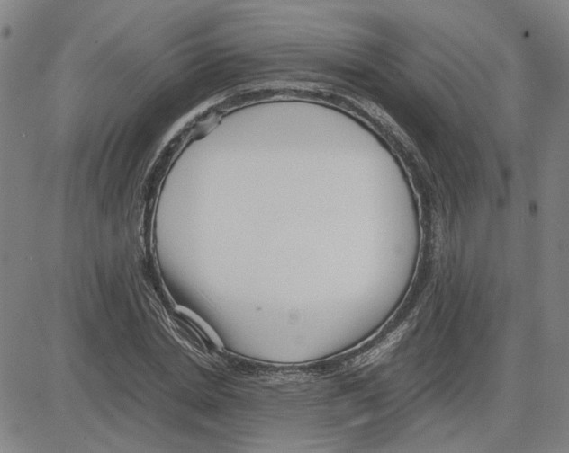 X0000080120830200701051352