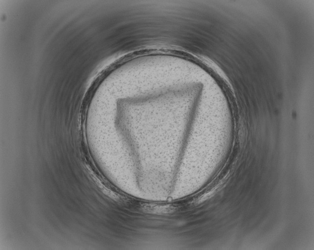 X0000080120831200701051352