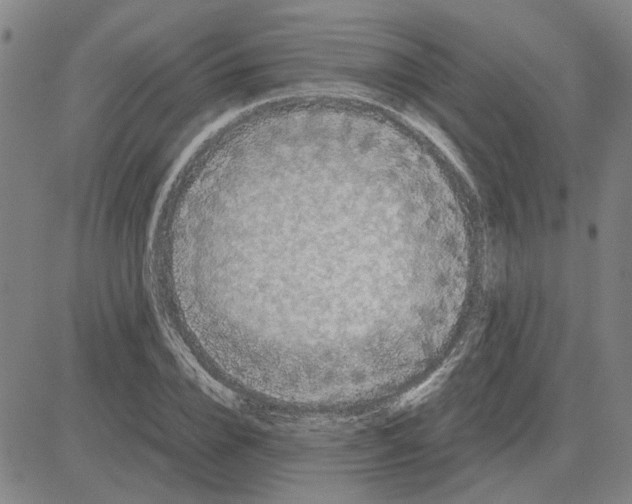 X0000080120832200701051352