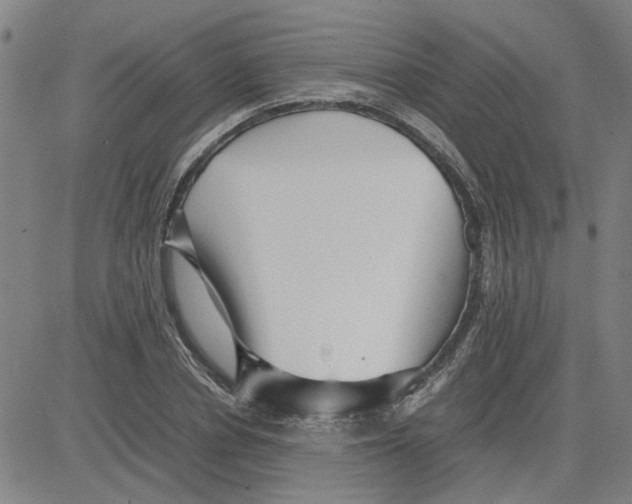 X0000080120834200701051352