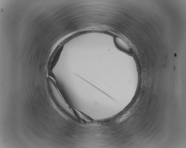 X0000080120838200701051352