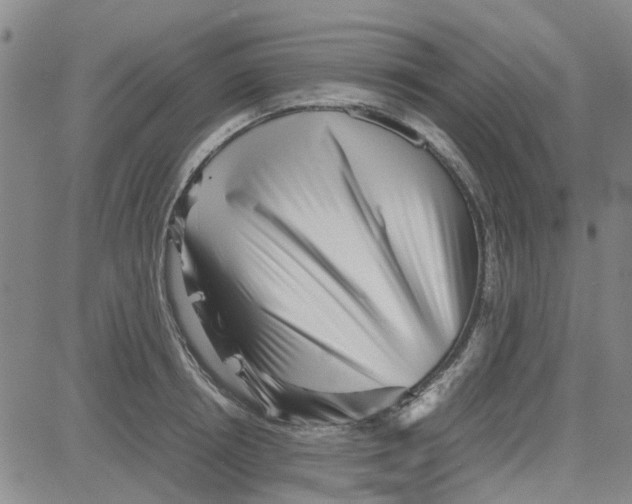 X0000080120850200701051352