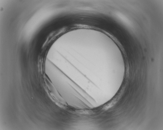 X0000080120862200701051353