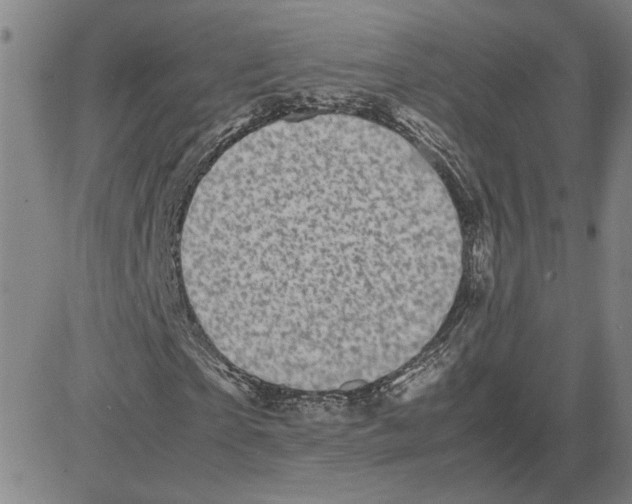 X0000080120865200701051352