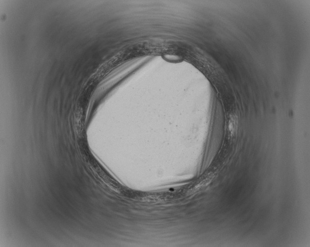 X0000080120867200701051352