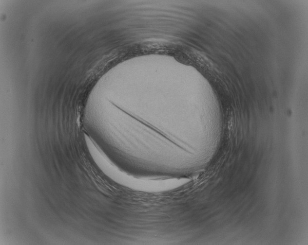 X0000080120868200701051352