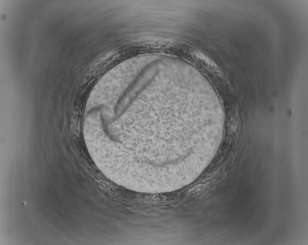 X0000080120869200701051352