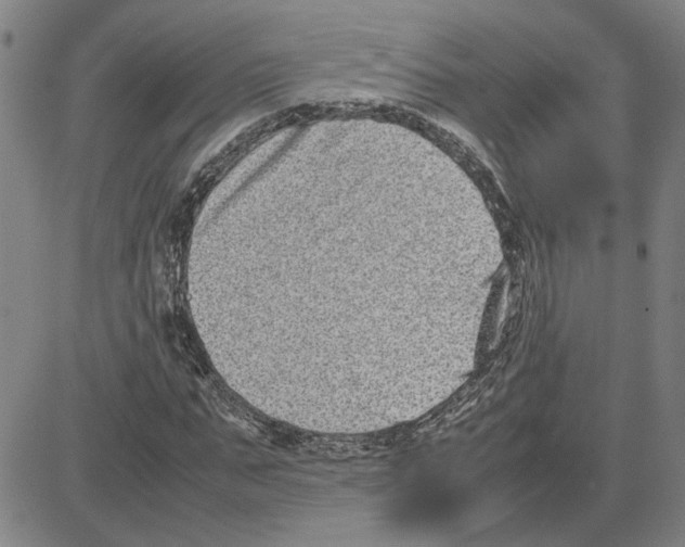 X0000080120871200701051352