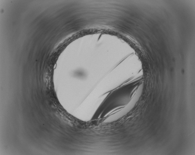 X0000080120872200701051352