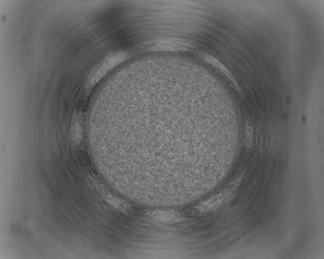 X0000080120874200701051352