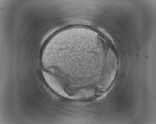 X0000080120877200701051352