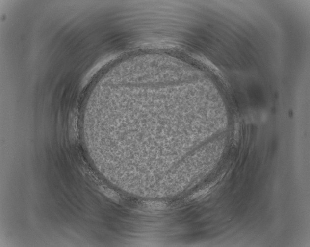 X0000080120878200701051352