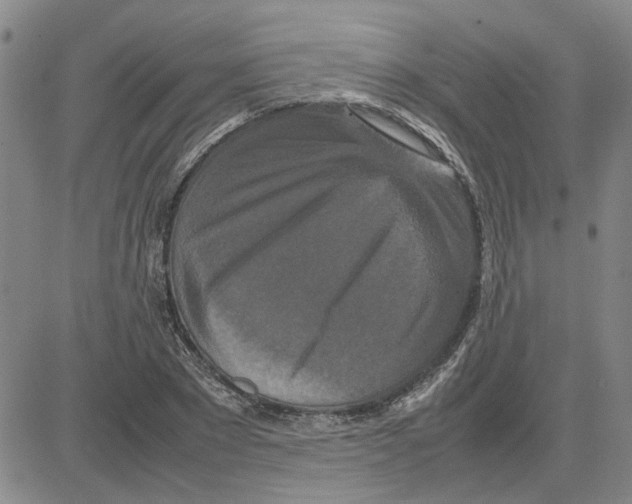 X0000080120881200701051352