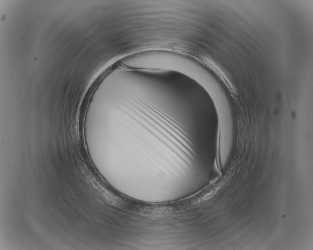 X0000080120884200701051352