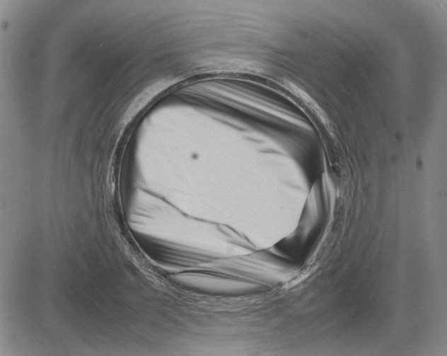 X0000080120885200701051352