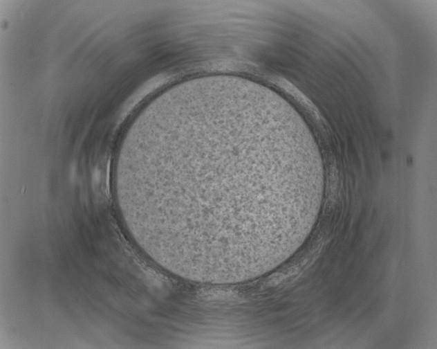 X0000080120886200701051351