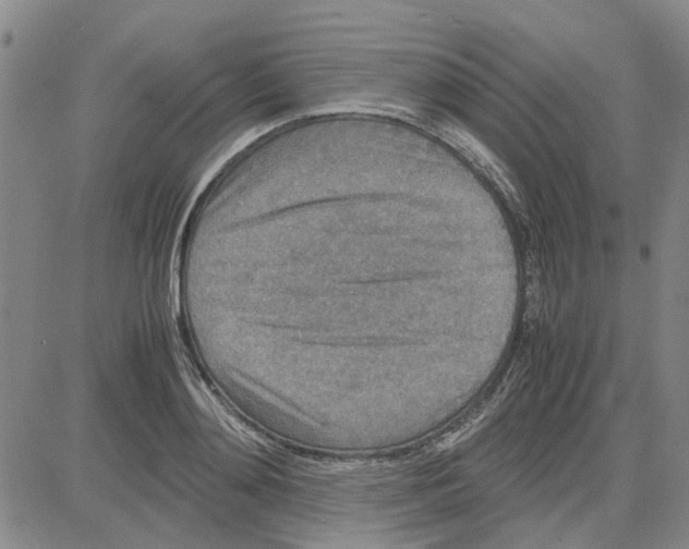 X0000080120892200701051351