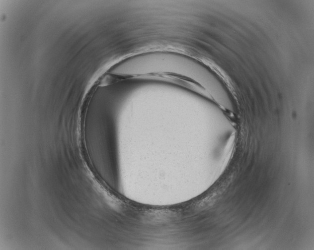 X0000080120894200701051351