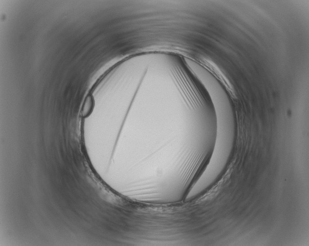 X0000080120900200701051351