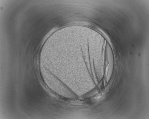 X0000080120907200701051351