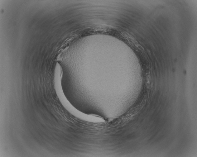 X0000080120916200701051350
