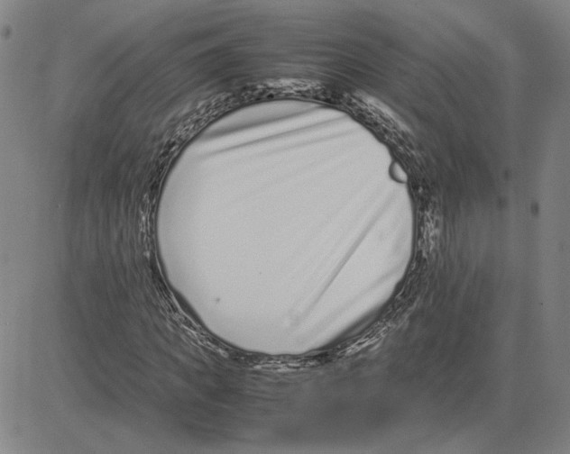 X0000080120917200701051350