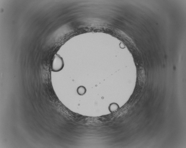 X0000080120918200701051350
