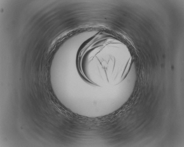 X0000080120920200701051350