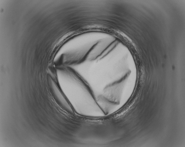 X0000080120921200701051350