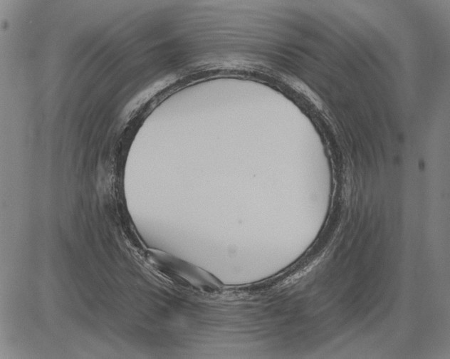 X0000080120922200701051350