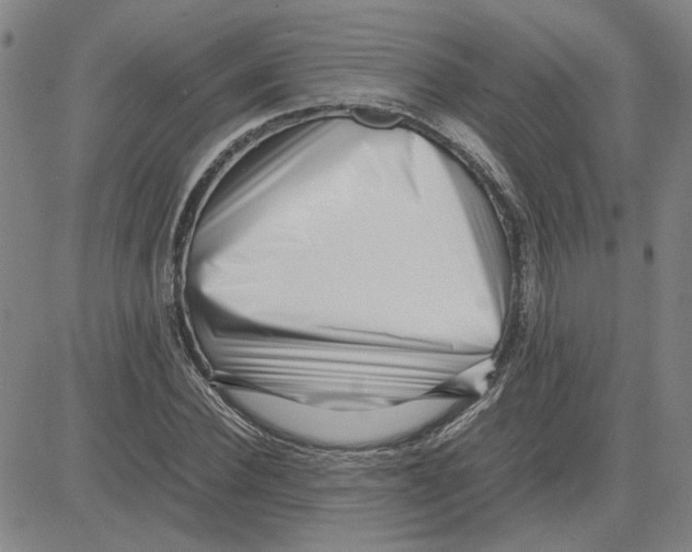 X0000080120924200701051350