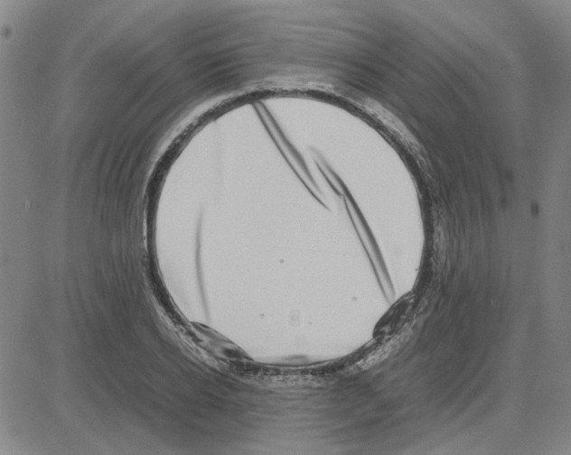 X0000080120934200701051351