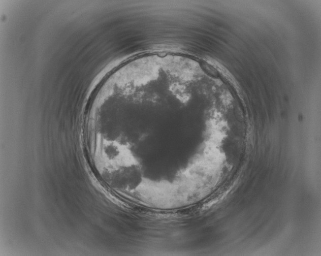X0000080120941200701051351