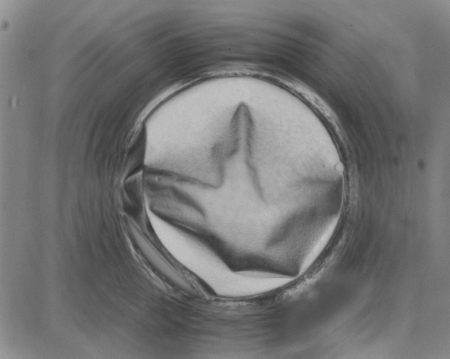 X0000080120953200701051351