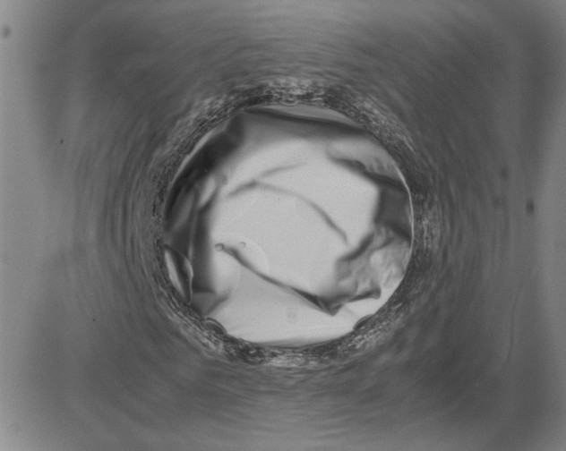 X0000080120961200701051350