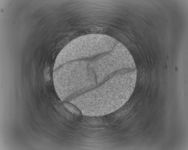 X0000080120962200701051350
