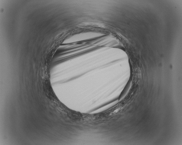 X0000080120965200701051350
